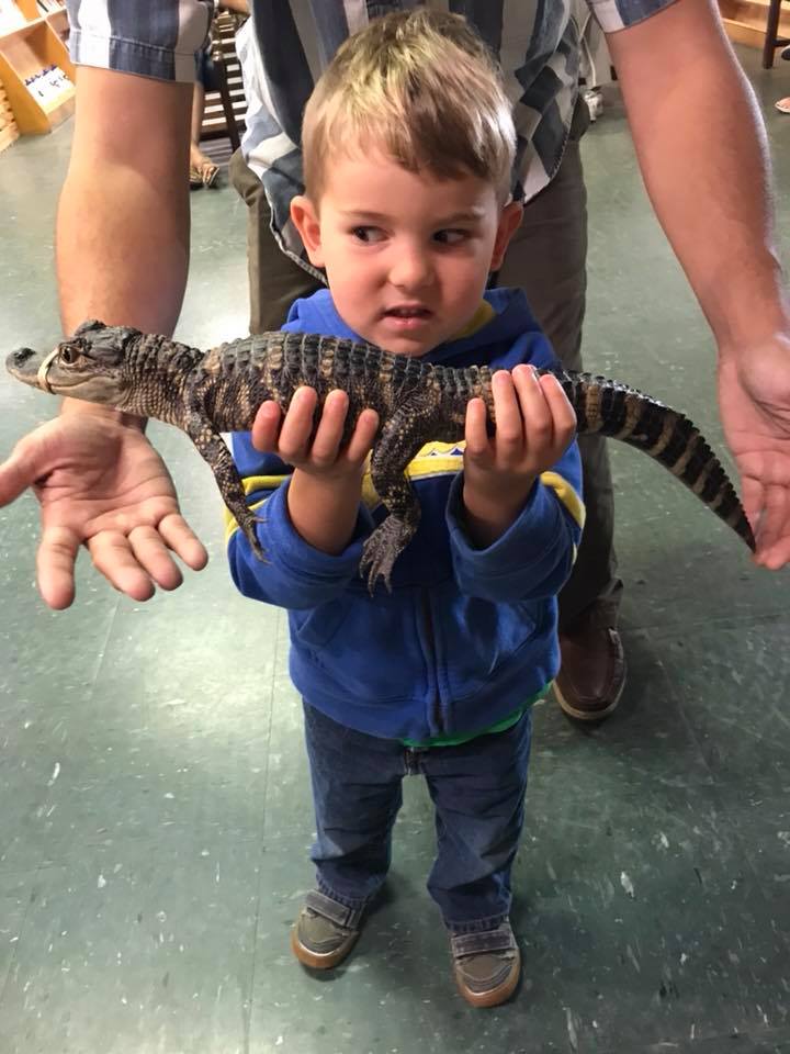 Holding an Alligator at Calusa Nature Center, Fort Myers
