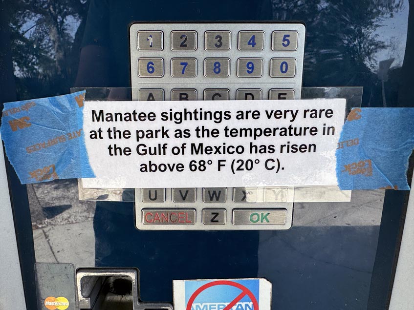Manatees only stay at Manatee Park when the water is cooler than 65F in the Gulf of Mexico