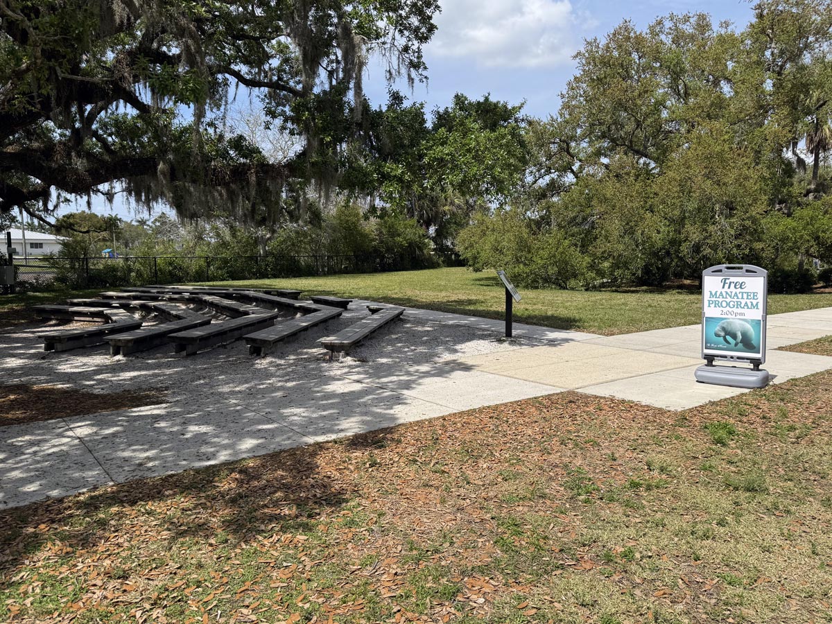 the Manatee Program at Manatee Park is at 2pm