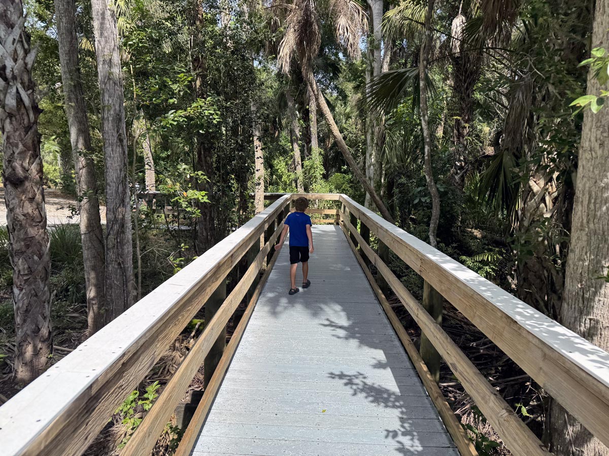 boardwalk trails at Manatee Park