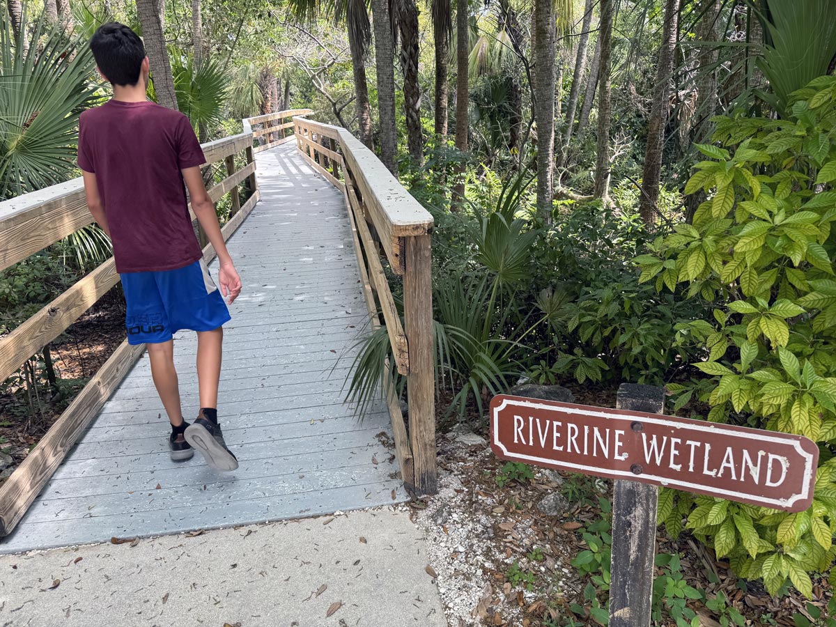 Nature trails and boardwalks at Manatee Park