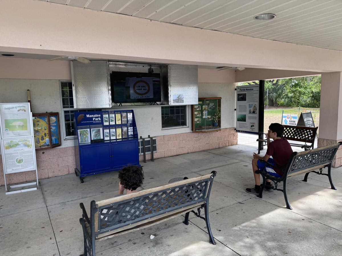 Learn about manatee conversation efforts with a video at the visitors center