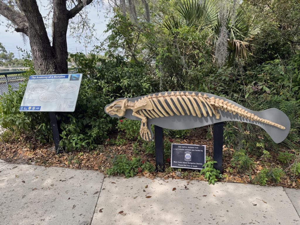 Educational activities at Manatee Park, Fort Myers, Florida