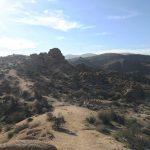 Desert View