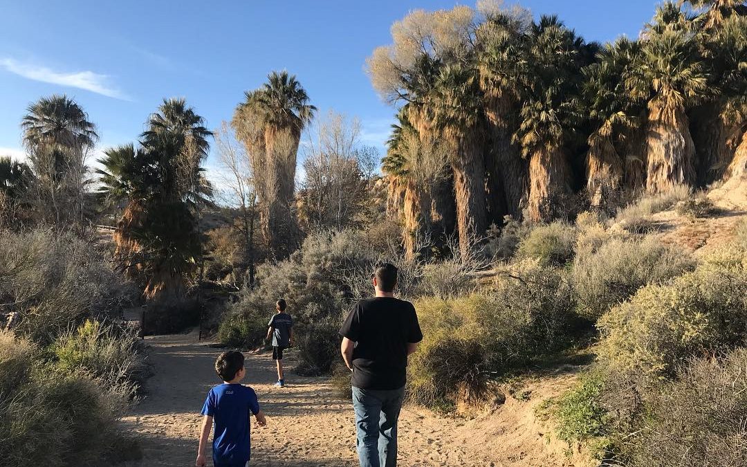 Joshua Tree National Park, California