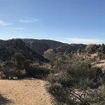 Desert View