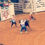 Bull roping event at the rodeo