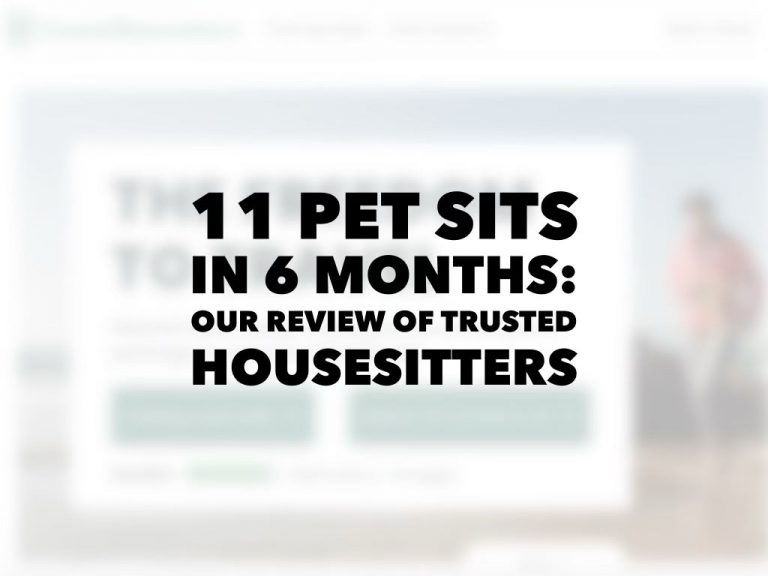 Our Trusted Housesitters Review 11 Petsits In 6 Months