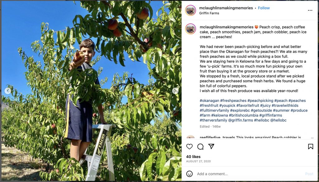 picking fresh peaches while on vacation in Kelowna, BC
