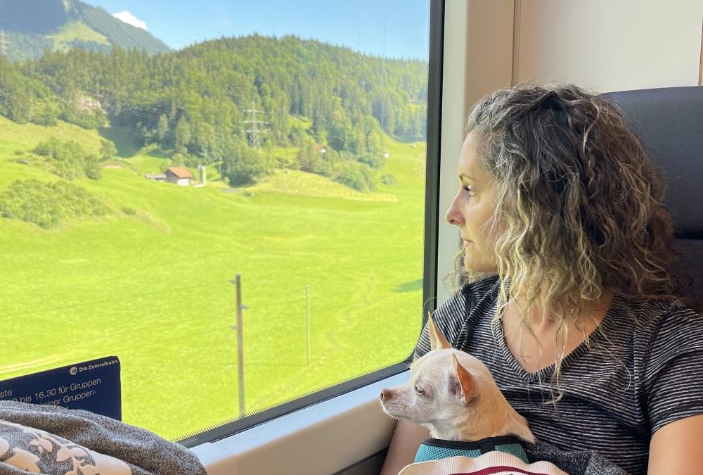 Trusted House Sitters: Switzerland Review