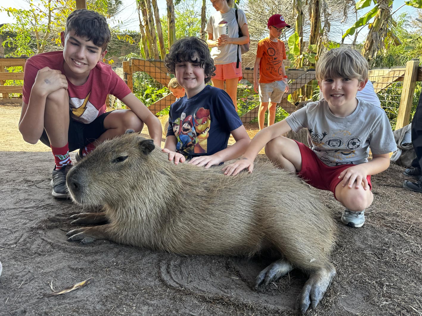 Petting a capybara at Gatorland, Orlando