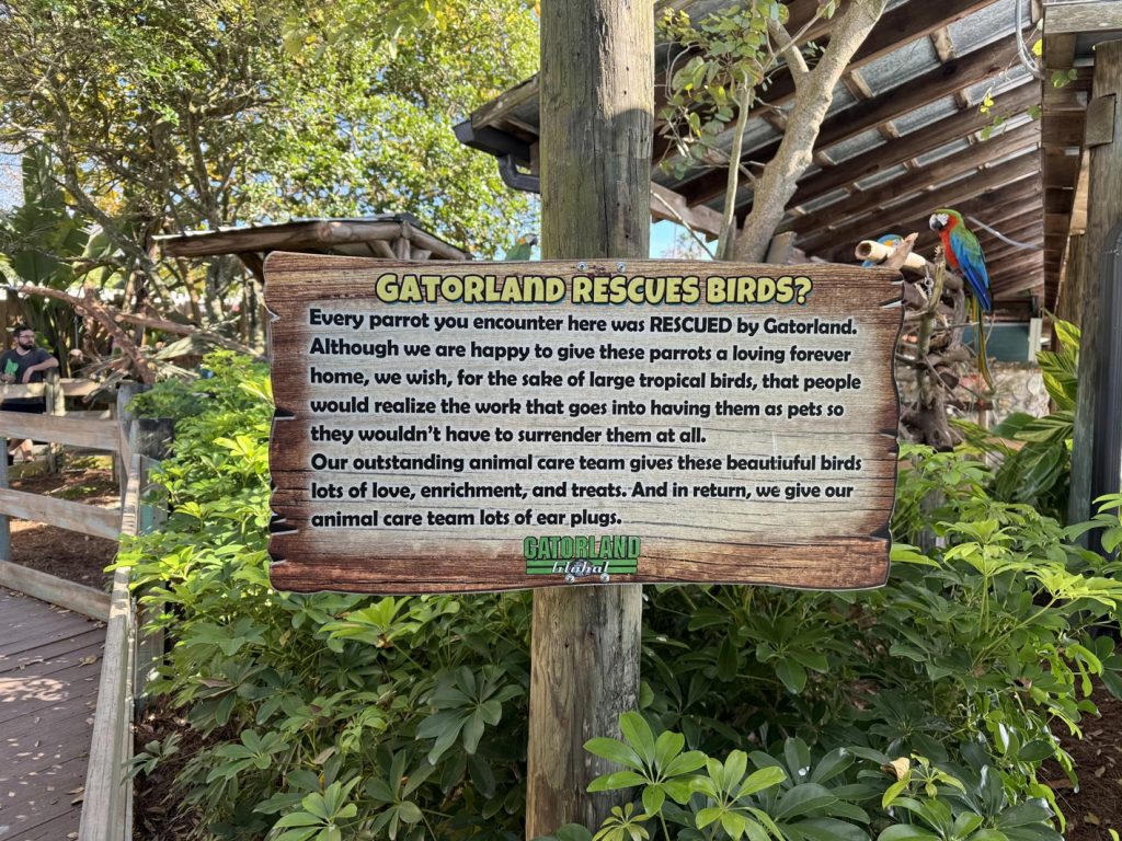 Gatorland rescue birds