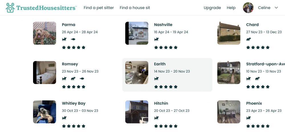 Trusted housesitters petsitting reviews