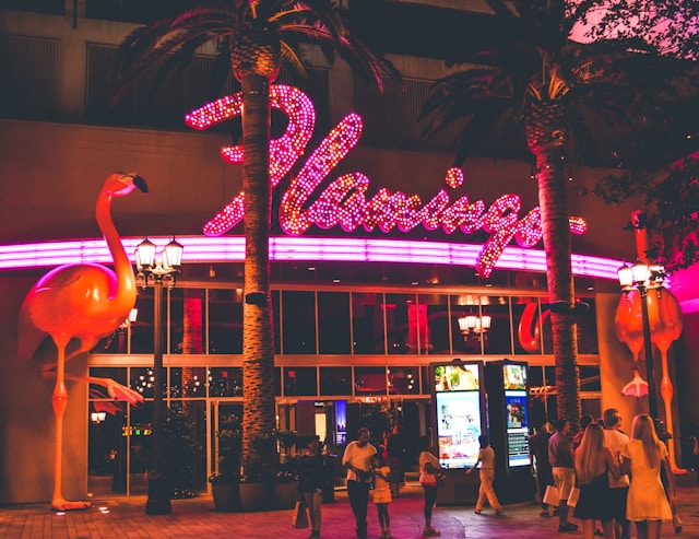 Visit the flamingo hotel with kids