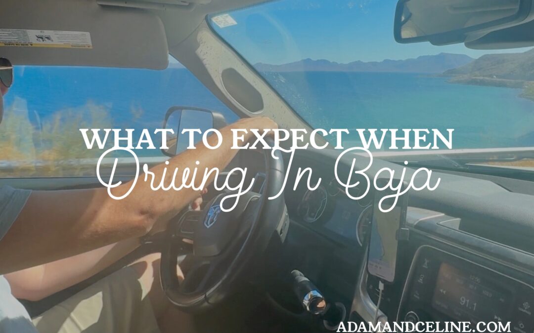 A picture of us driving in Baja, Mexico