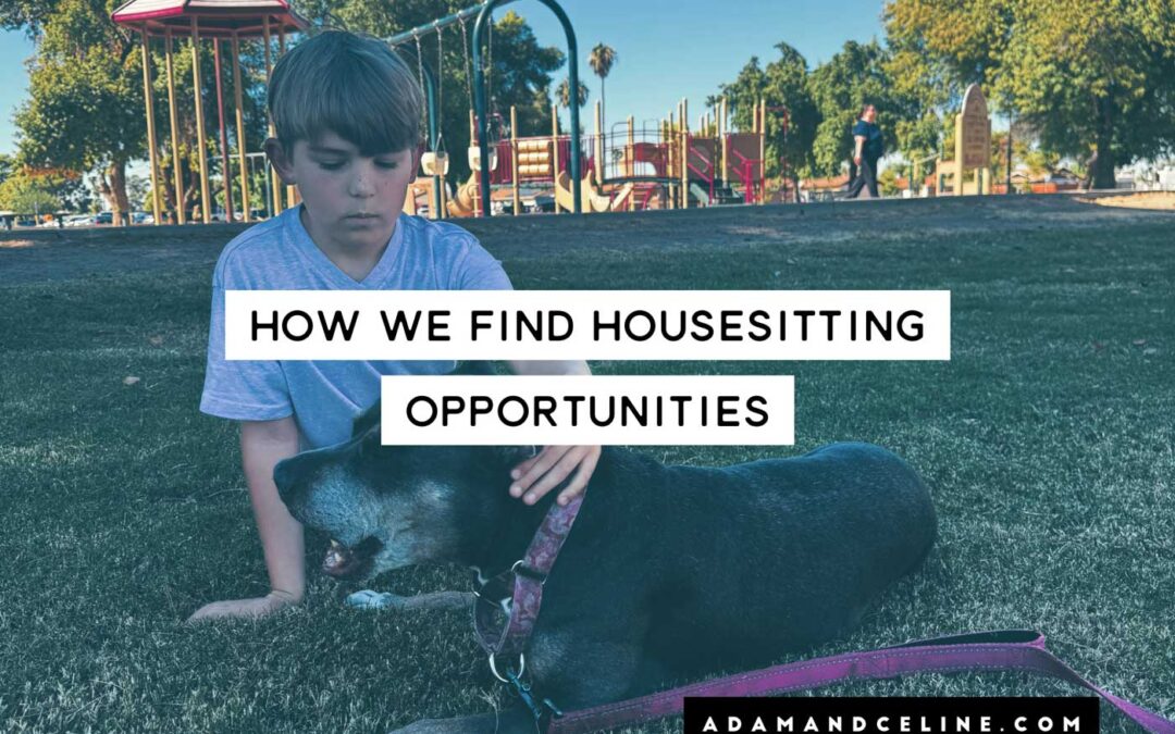 How to find housesitting jobs