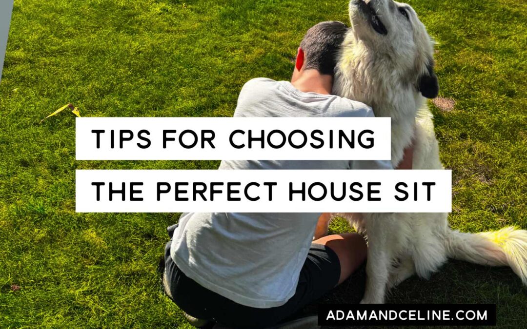 Tips for choosing the perfect house sit