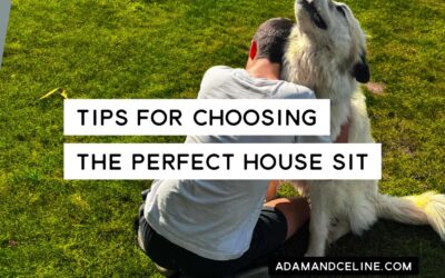 What to Look for When Choosing a House Sit