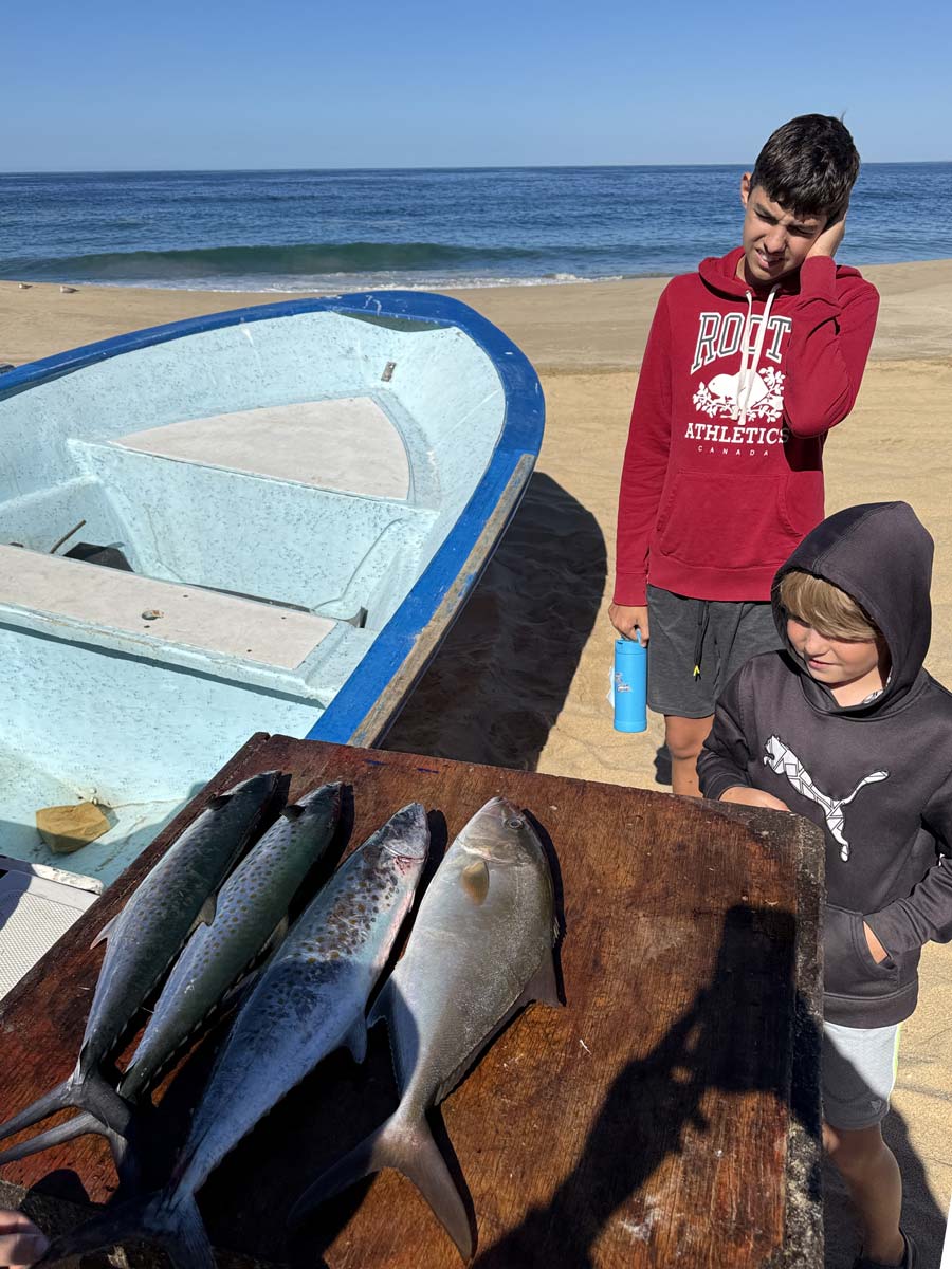 Fishing charter in Todos Santos