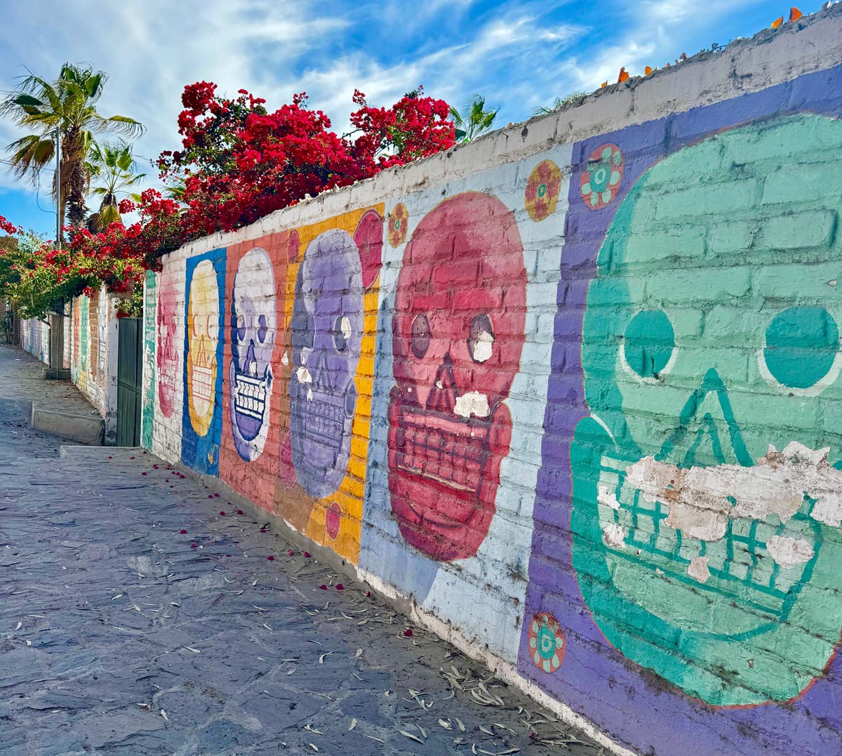 Todos Santos Skull Mural