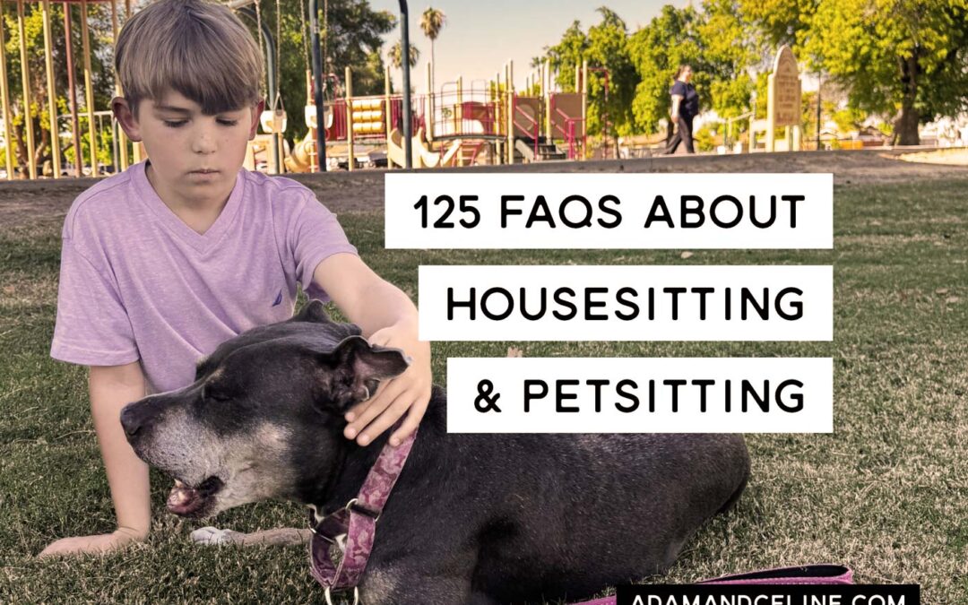 125 Questions About House Sitting with Trusted Housesitters