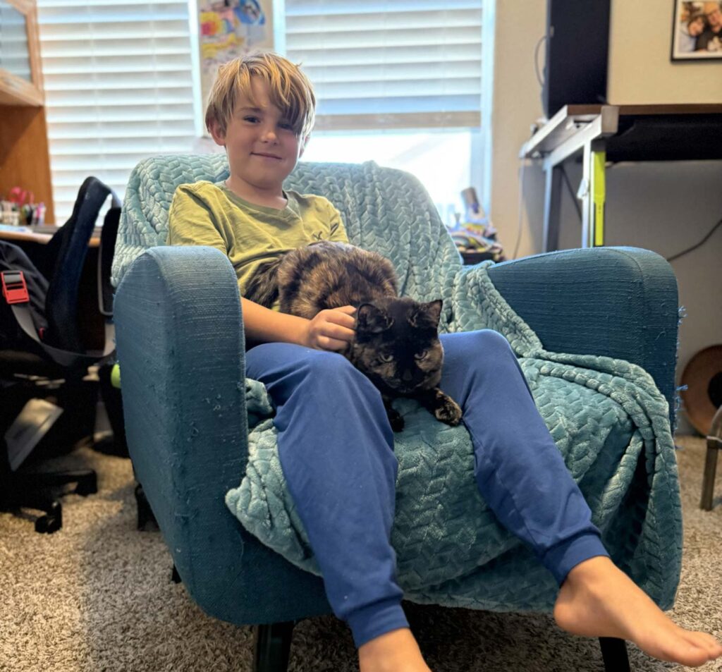 Petting a cat while petsitting as a family