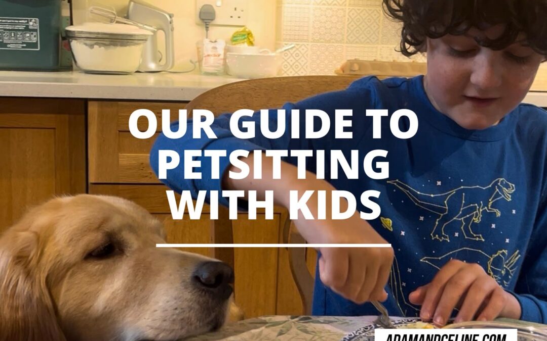Petsitting with kids