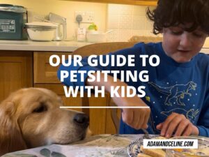 Petsitting with kids
