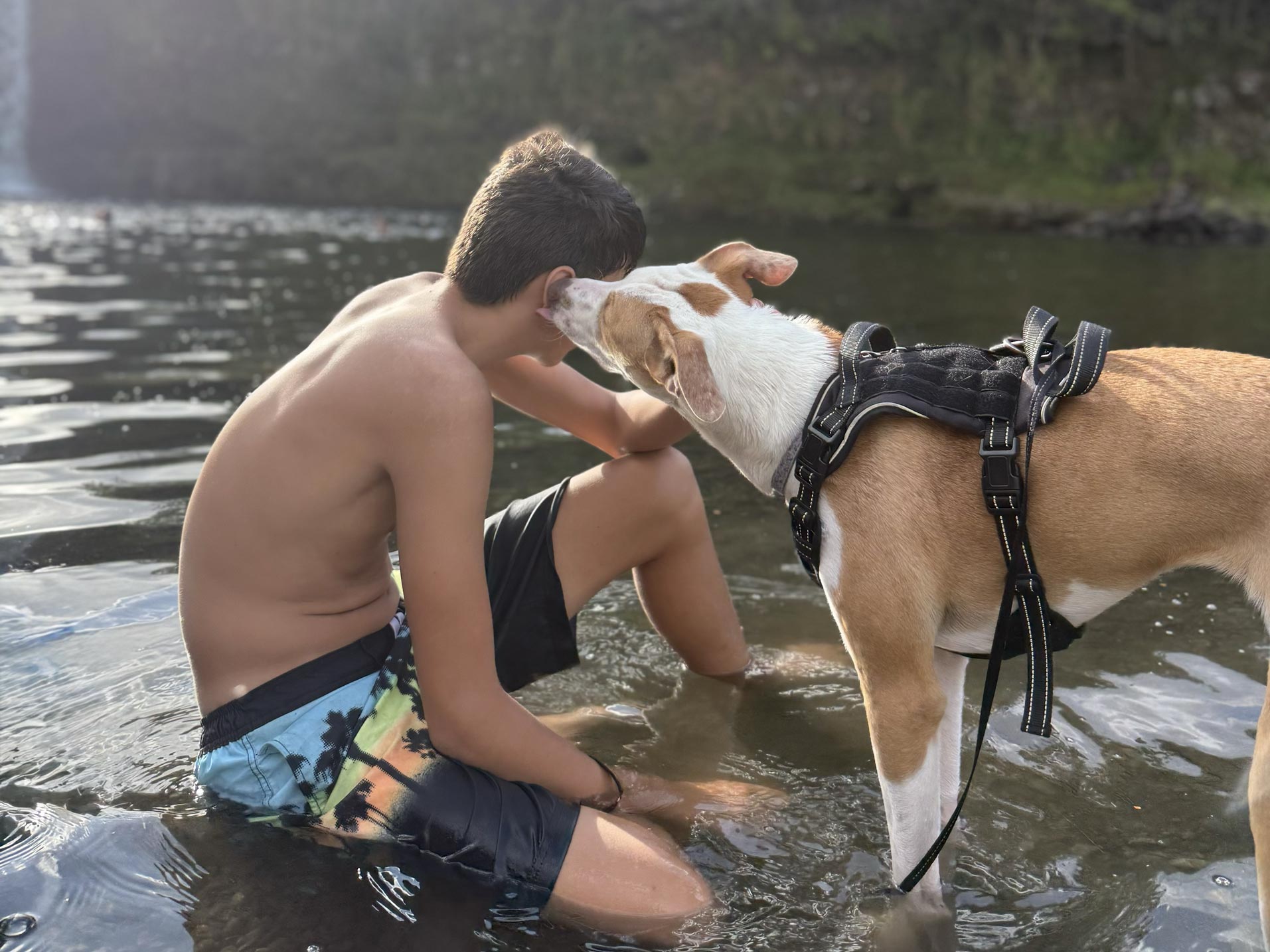 Taking our petsitting host to a waterfall in Hawaii
