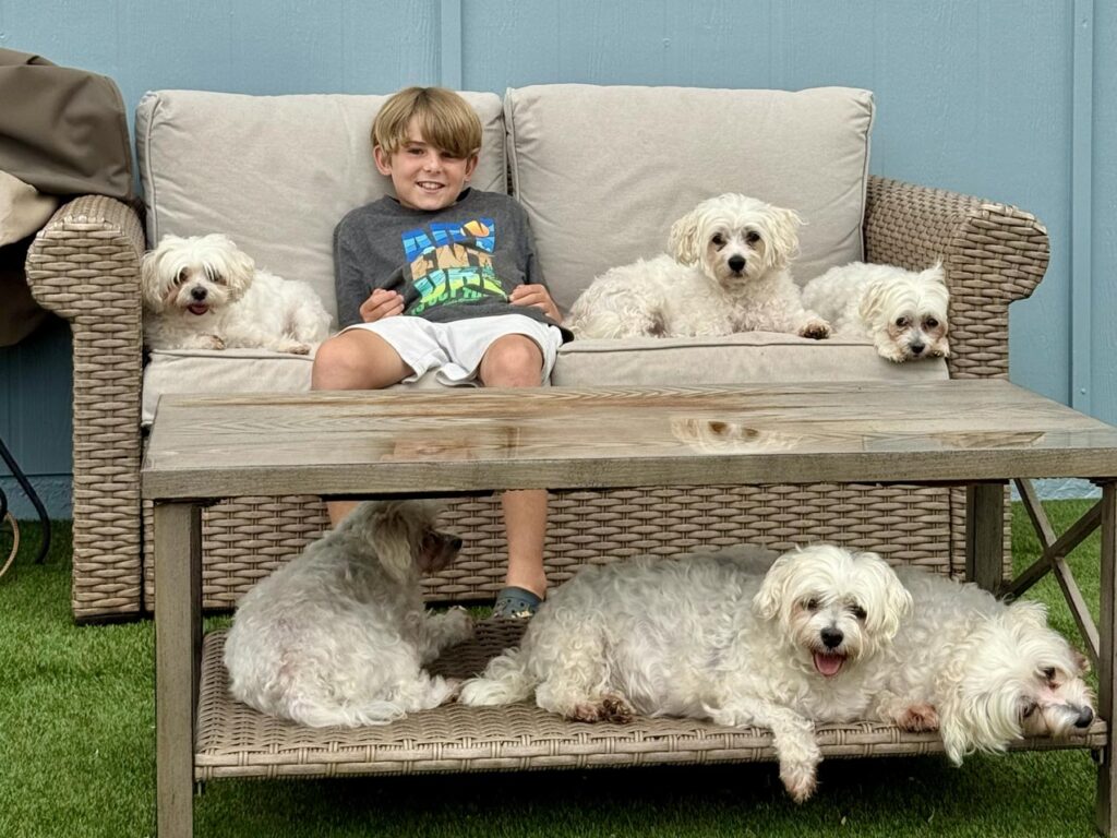 Trusted housesitters discount code expiring