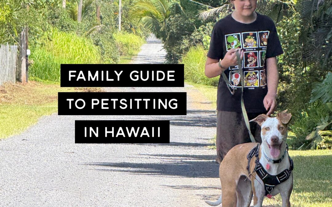 Petsitting in Hawaii as a family