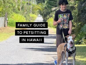 Petsitting in Hawaii as a family