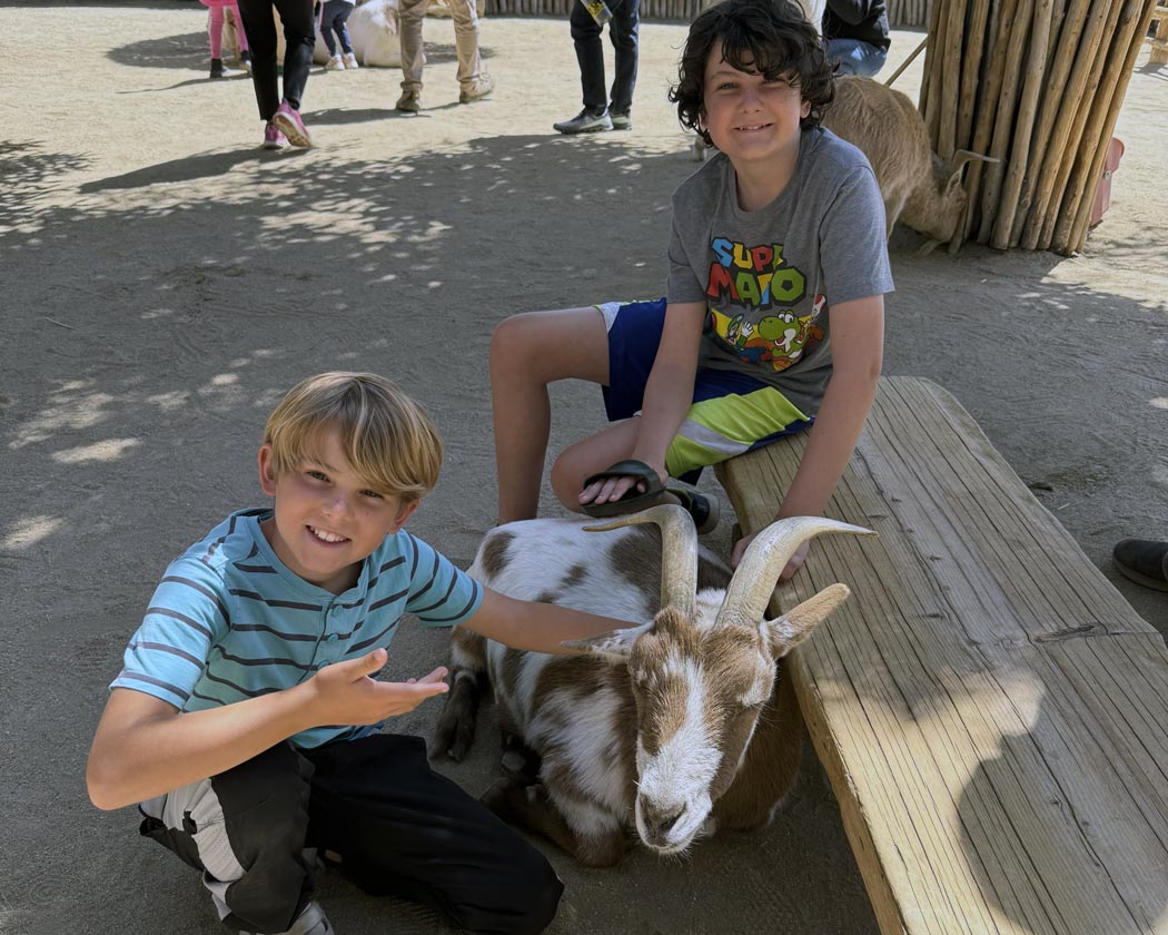 petting zoo at Living Desert Zoo & Gardens Palm Desert