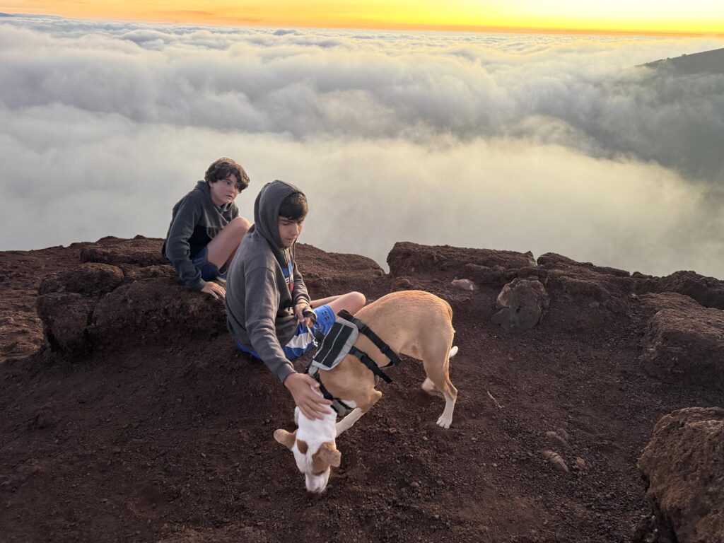 Housesitting in Hawaii with our trusted housesitters promo codes
