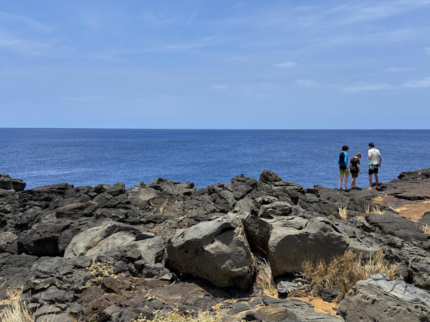 Our coastline while housesitting in Hilo was rocky and unique