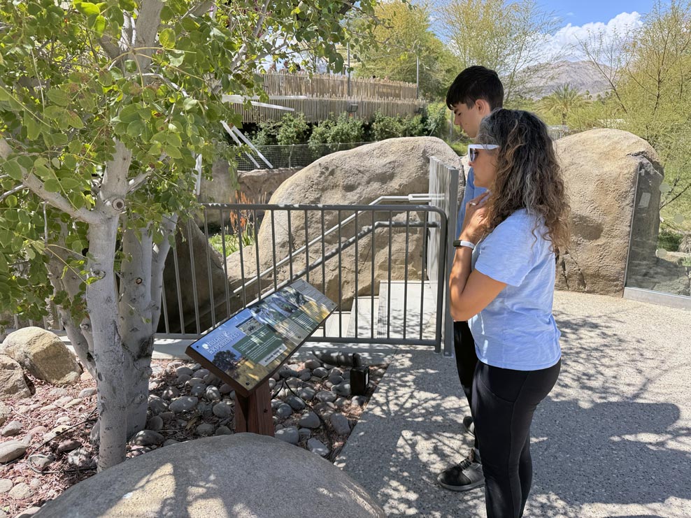 Reading about the desert exhibits at Living Desert Zoo