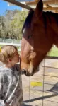 petssitting a horse near Sydney