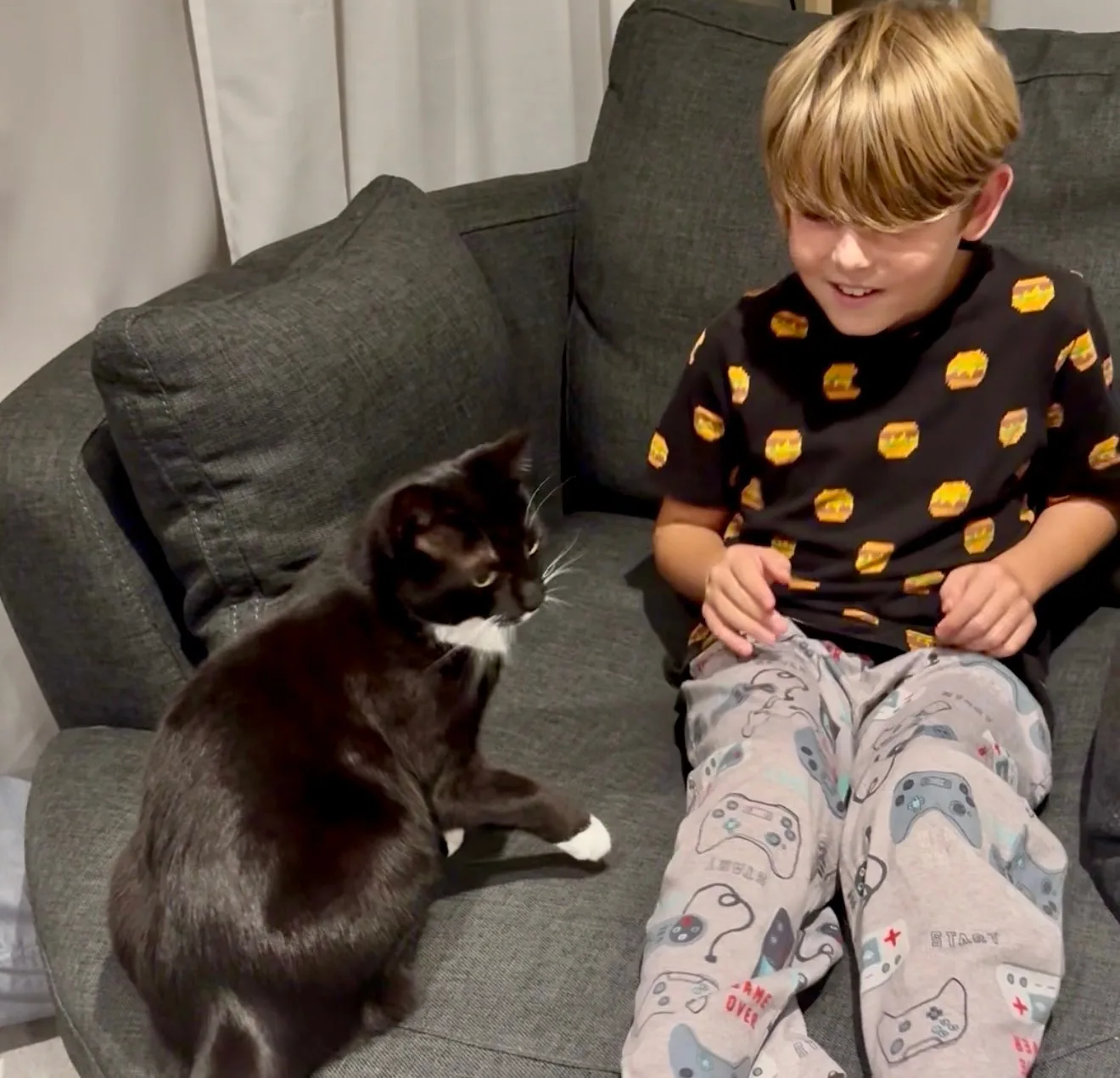 petsitting a cat in Canberra