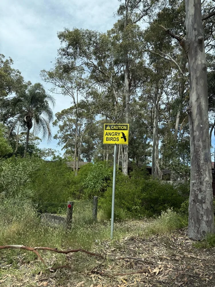 Angry birds sign Australi