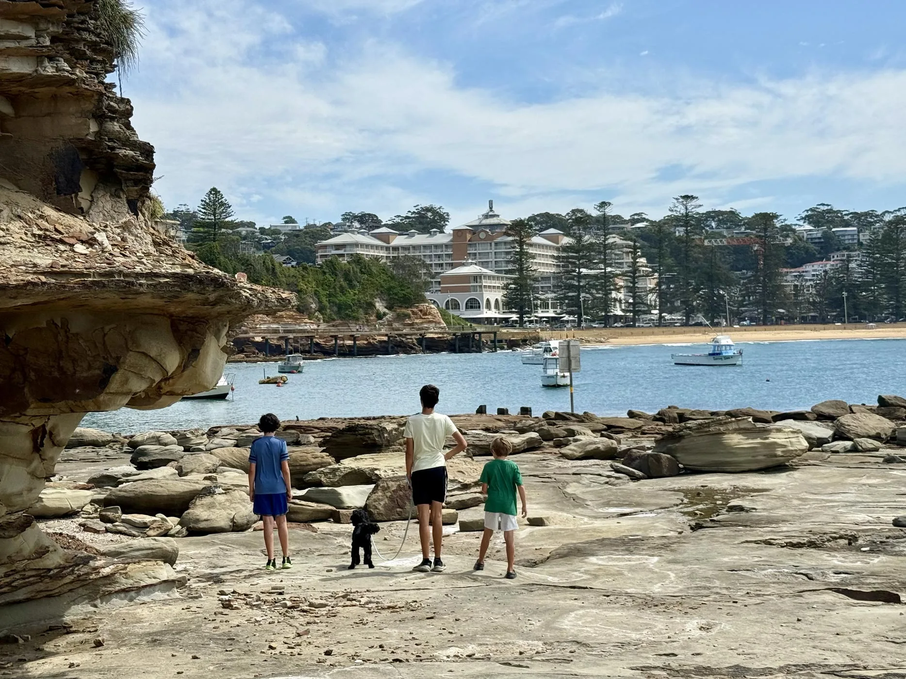 taking our dogs to the beach while pet sitting in Australia
