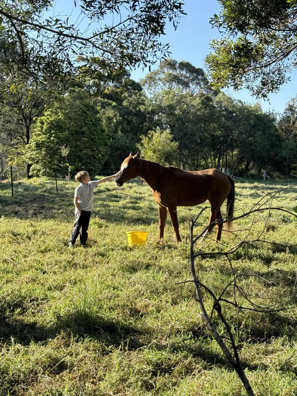 caring for a horse while petsitting in Australia