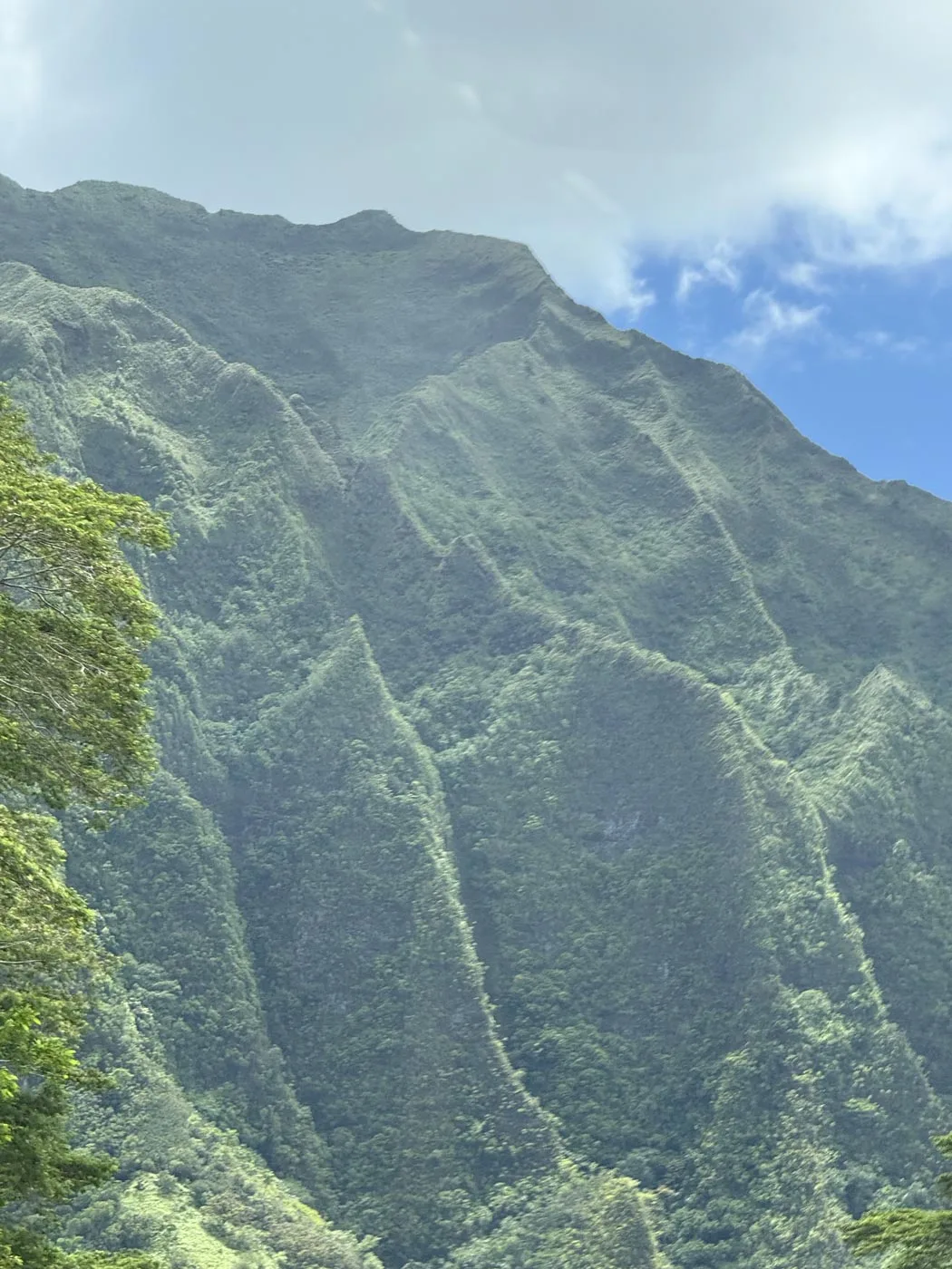 Oahu Landscape