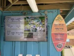 wet n wild Hawaii florider checkin