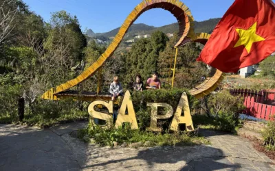 Swing Sapa Review: Good for kids?