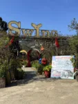 Swing Sapa Entrance