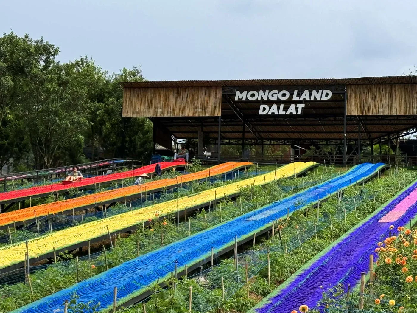 Mongo land single rider rainbow slides