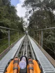 Alpine Coaster Review Dalat
