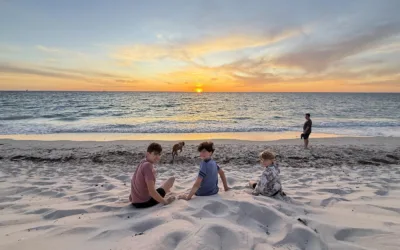 Need a House Sitter in Perth? We Use Trusted Housesitters