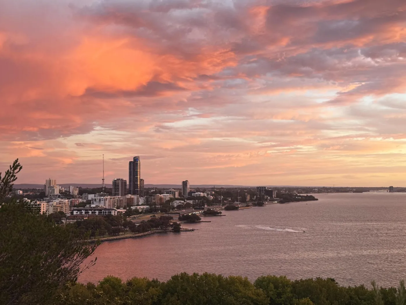 Kings Park Perth Sunset